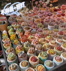 How to Create an Environment Suitable for Succulent Growth (-Succulent, Environment, Growth)