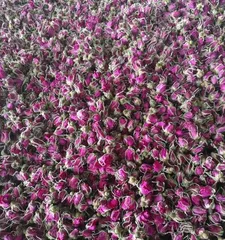 The Making and Appreciation of Dried Flowers (From Craft to Art, the Charm and Transformation of Dried Flowers)