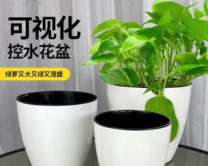The correct way to use a water-absorbing pot for pothos (Make pothos thrive, master the skill of water-absorbing pots)