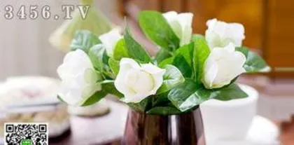 How to hydroculture gardenia, techniques and growth process analysis of gardenia hydroculture