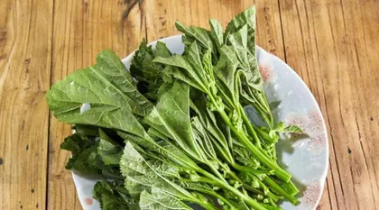 Winter cold vegetable, a winter delicacy (introducing the nutritional value, cultivation methods, culinary uses, and traditional cultural significance of winter cold vegetable)