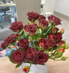 Selection of Potted Plants on the Desk (Creating a Comfortable Office Environment for You)