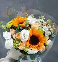 Sunflower Care Guide (Spring, Summer, Autumn, Winter, How to Scientifically Water)