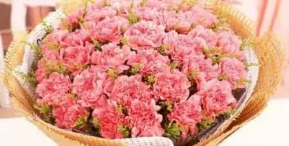 What flower represents New Year's Day, interpretation of the meaning of New Year's flowers