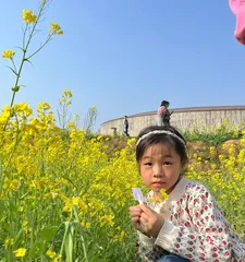Flowers bloom through effort—exploring the meaning of effort's flower language (using one flower after another to illustrate the spirit of never stopping)