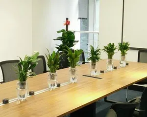 What kind of plants are suitable for a conference table? - Recommended plants suitable for placing on a conference table