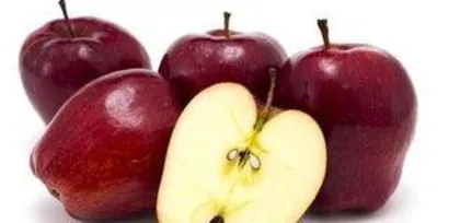 Can pregnant women eat camphor tree fruit? Safety analysis of camphor tree fruit consumption