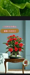 Pothos Care Guide and Maintenance Tips (Easily Create a Beautiful Space and Grow Pothos with You) 1