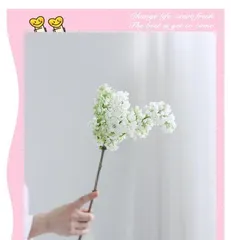 Techniques and Methods for Cultivating Lilac Bonsai (Creating Beautiful and Unique Lilac Bonsai, Enjoying the Fun of Having a Garden at Home) 2