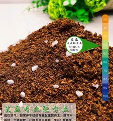 金豆盆景的土壤配置方法(打造健康生长的金豆盆景土壤)2