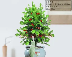 红豆杉盆栽的选择与养护(如何选择合适的盆栽及注意事项)2