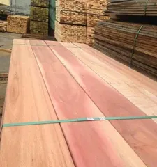 Explore the main timber of Pometia (understanding the timber source and characteristics of Pometia)