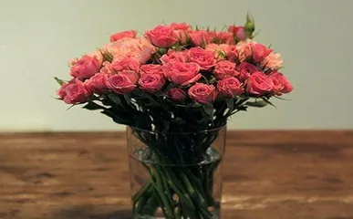 Roses at home, Feng Shui treasure (decorating the home with roses to enhance quality of life)