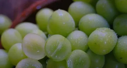 How high is the sweetness of Sunlight Rose grapes? (Exploring the sugar content and nutritional value of Sunlight Rose grapes)