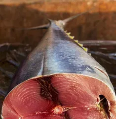 Can灯笼椒 be eaten raw? (Exploring灯笼椒 consumption methods and precautions)