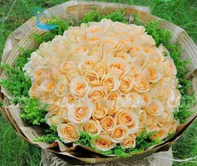 The Meaning of Champagne Gold Roses (Interpreting the 8 Meanings of Champagne Gold Roses)