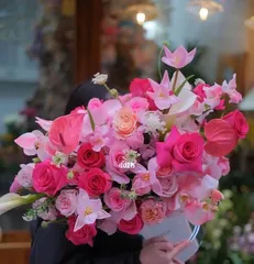 The Meaning of Flowers Representing Peace (Detailed Explanation of the Meanings of 15 Flowers Symbolizing Peace)