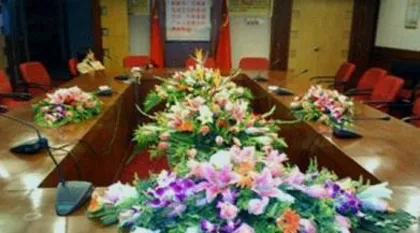 Choosing plants suitable for meeting rooms (creating a comfortable, healthy, and efficient meeting environment)