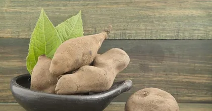 The Amazing Effects of Snow Apple (Analyzing the Medicinal Value and Nutritional Components of Snow Apple)