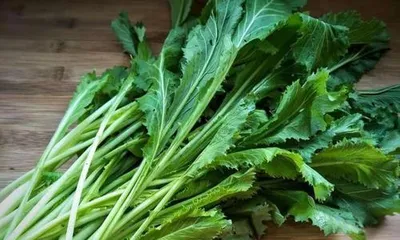 Is xuecai and lasei the same type of vegetable? (Discerning the differences and similarities between xuecai and lasei)