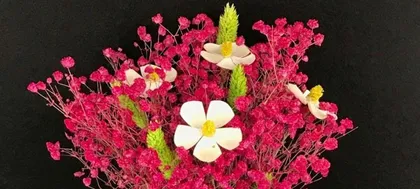 The Flower of Enduring Friendship - Delivering Sincere Affection (Interpreting the True Meaning of Friendship Through the Language of Flowers)