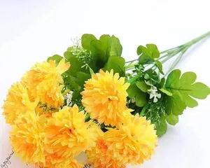 The language of flowers represents longing, sending eternal emotions (exploring the beauty of longing in different flowers).