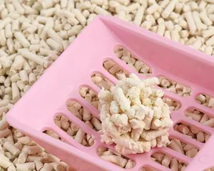 Cat litter isn't just essential for a cat's toilet, it can also be used as potting soil! (Exploring the multiple uses of cat litter in the garden)