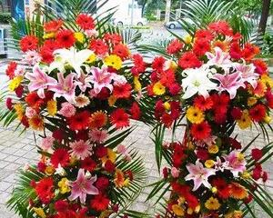 What kind of flowers is most suitable for opening a new store? (Flower etiquette, letting you send the best blessings on the opening of a new store)