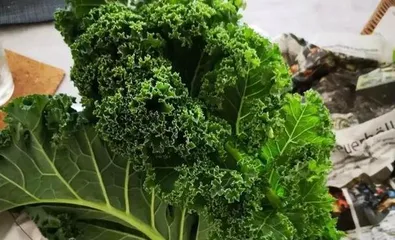 The Nutrition and Taste of Napa Cabbage (Learn the aliases and characteristics of napa cabbage, enjoy its texture and nutrition)