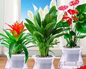 Can Lazy People Also Grow Flowers? Discover the Magic of Low-Maintenance Plants (From Indoor to Outdoor, These Easy-Care Plants Save You Time and Effort)