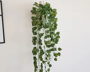 Plant Selection for Creating a Comfortable Milk Tea Shop Atmosphere (Decoration Suggestions for a Milk Tea Shop Themed Around "Fresh Greenery")