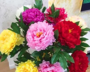How to Grow Peony Seeds (From Seed Selection to育苗, Step by Step, Creating a Beautiful Garden)