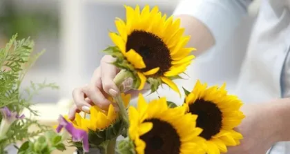 The Wonderful Uses of Eggshell Water - What Flowers Are Suitable for Watering? (Rich in nutrients, what flowers are really suitable for watering with eggshell water?)