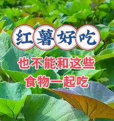 Taboo combinations with sweet potatoes (What should not be eaten with sweet potatoes?)