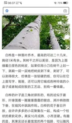 Reproductive Methods of Birch Trees (From Seeds to New Saplings: Exploring the Way of Birch Propagation)