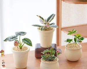 The best indoor flowers to grow - make your home greener