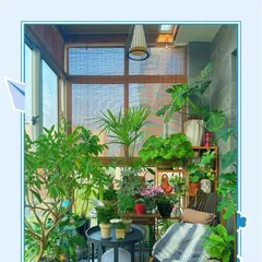夏日户外植物的养护秘籍(打造炎热夏天的绿色避难所)2