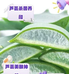 The Causes and Treatment Methods of Black Spots on Aloe Leaves (Unveiling the Reasons for Black Spots on Aloe Leaves and Effective Prevention and Control Methods)