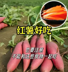 What should sweet potatoes not be eaten with? (Master the correct combinations to avoid harming the body)