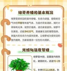 Pothos propagation and water exchange (讲究 how often to change water when propagating)